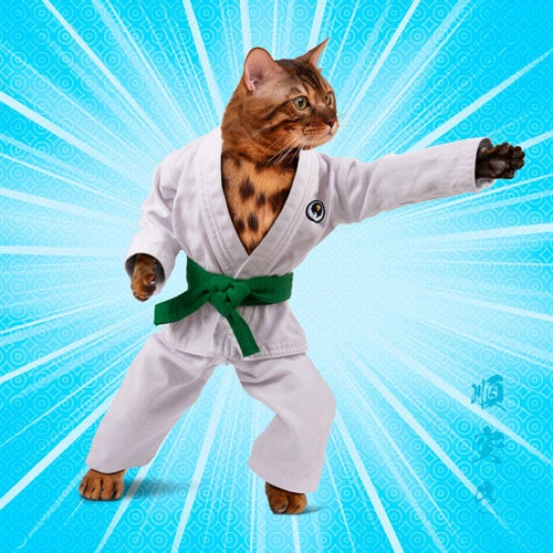 Junzuki  Tsukkomidachi