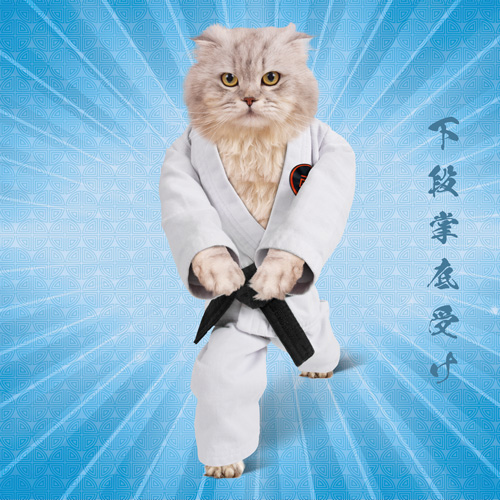 Gedan Shotei Mawashi Uke