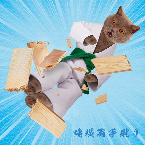 Tobi Yoko Morote Geri