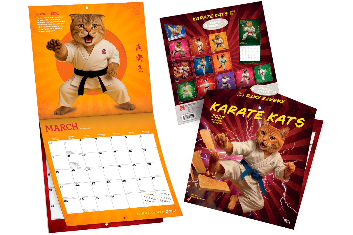 Karate Cats wall calendar 2027 cover